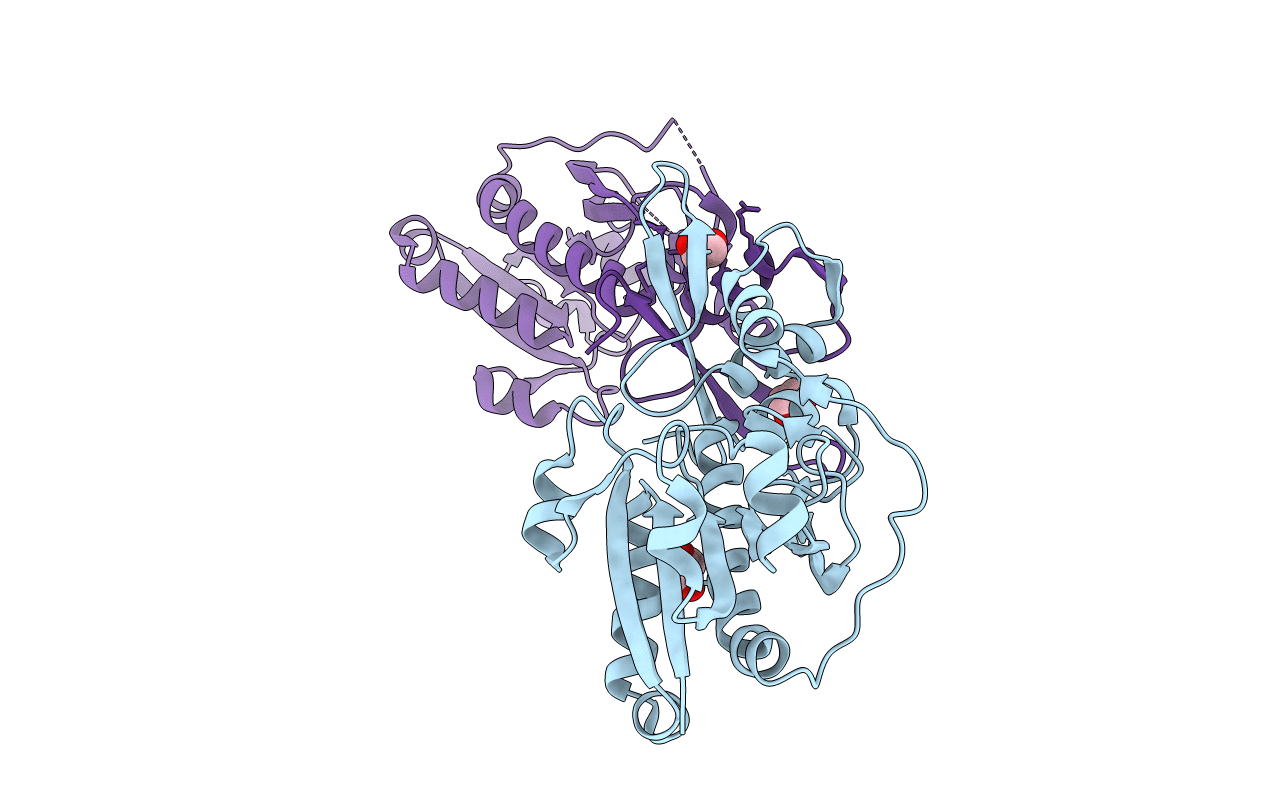 4YFV image