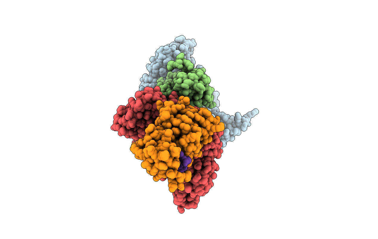 4YGX image