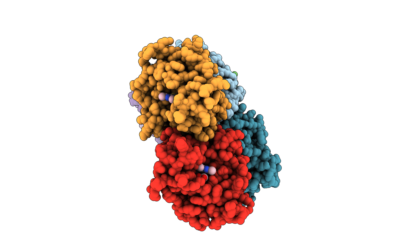 4YHA image