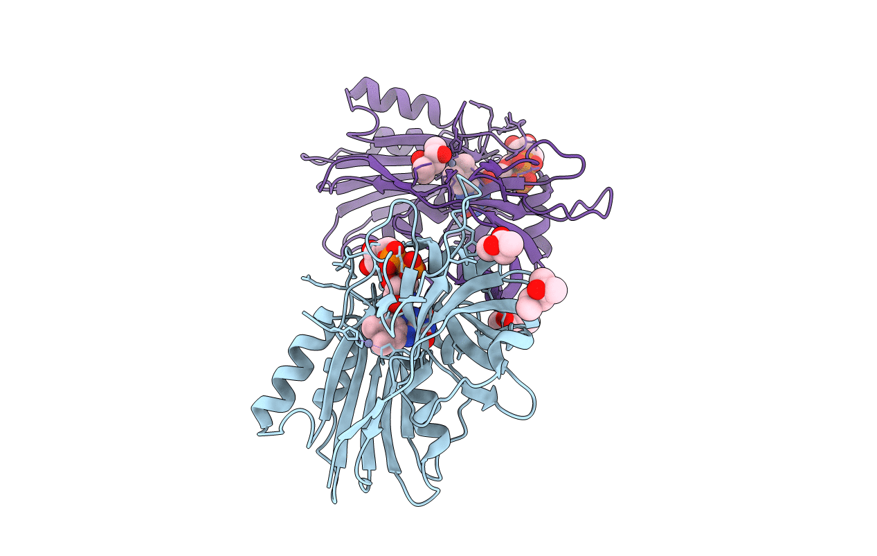 4YHB image