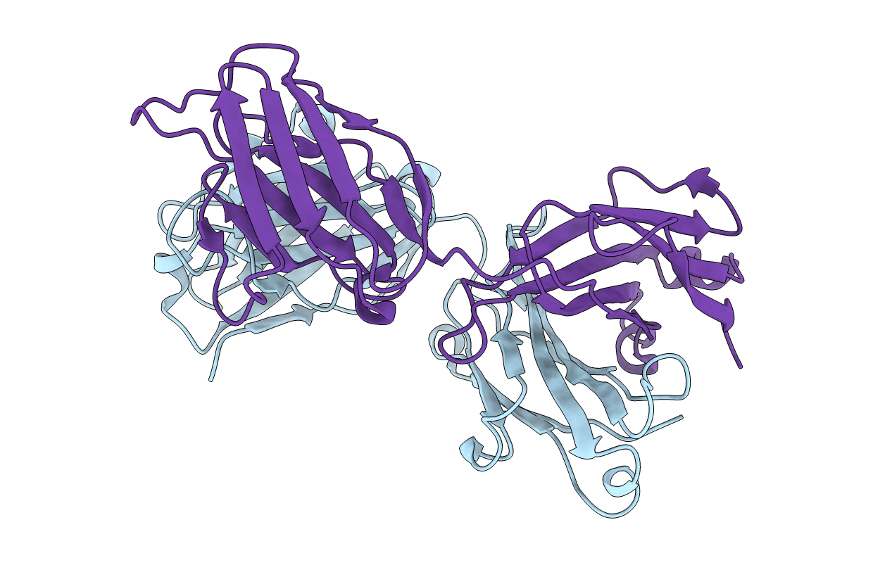4YHL image