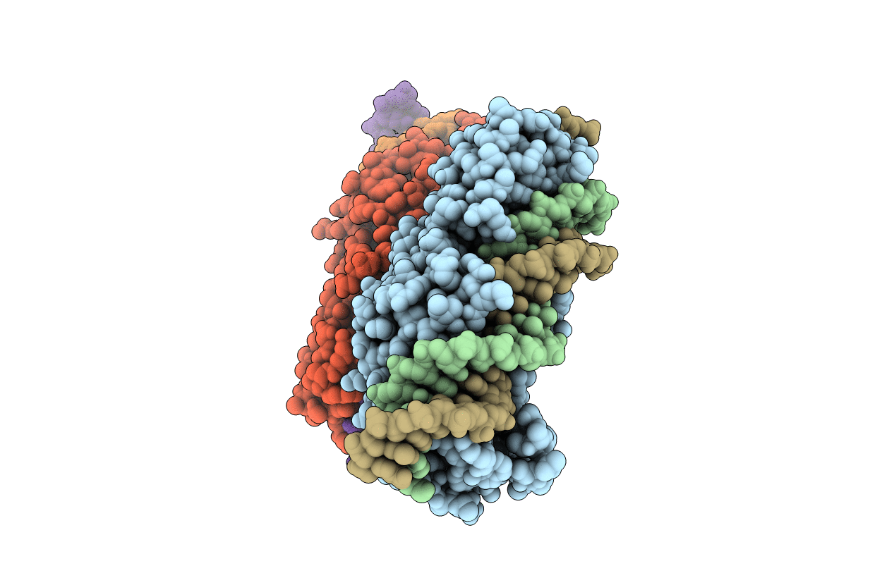 4YIT image
