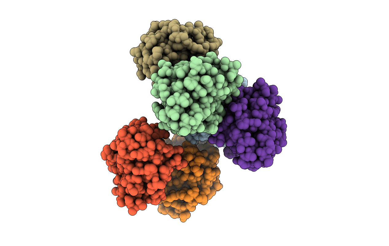 4YKB image