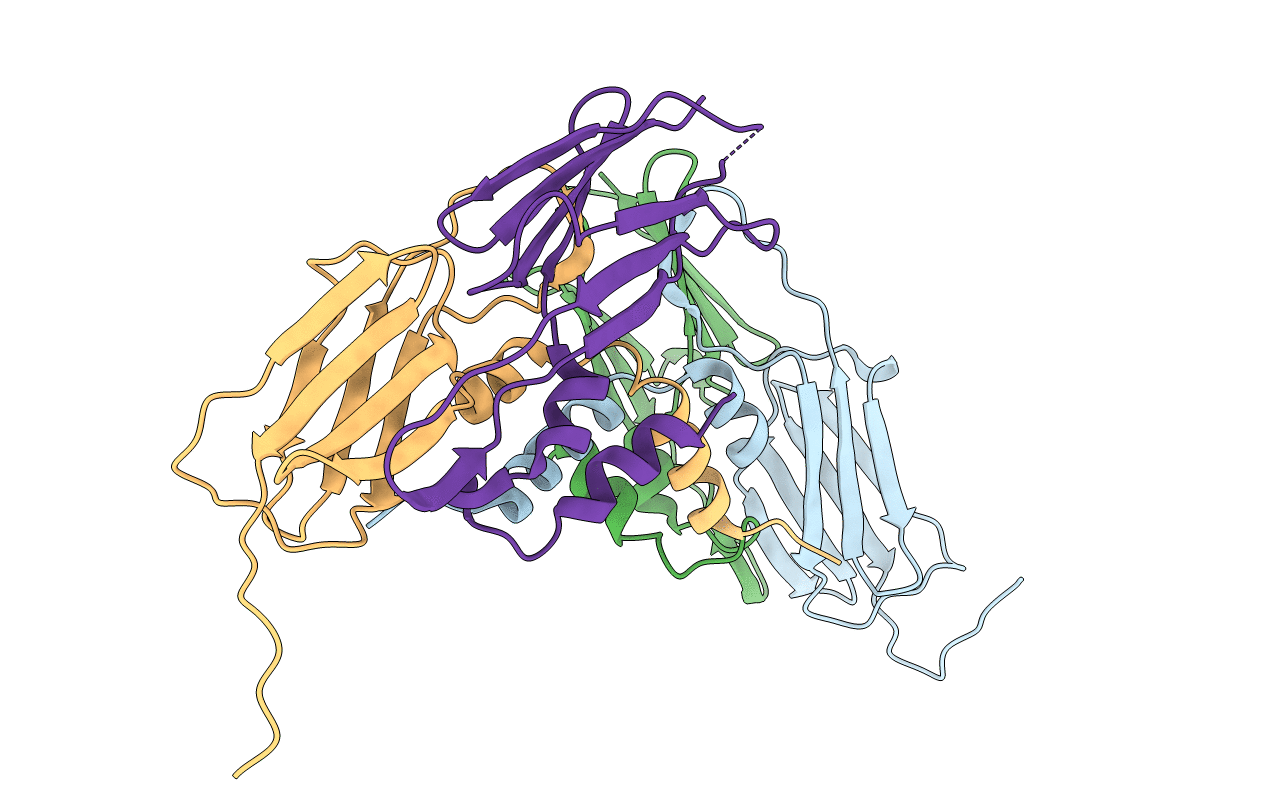 4YLB image