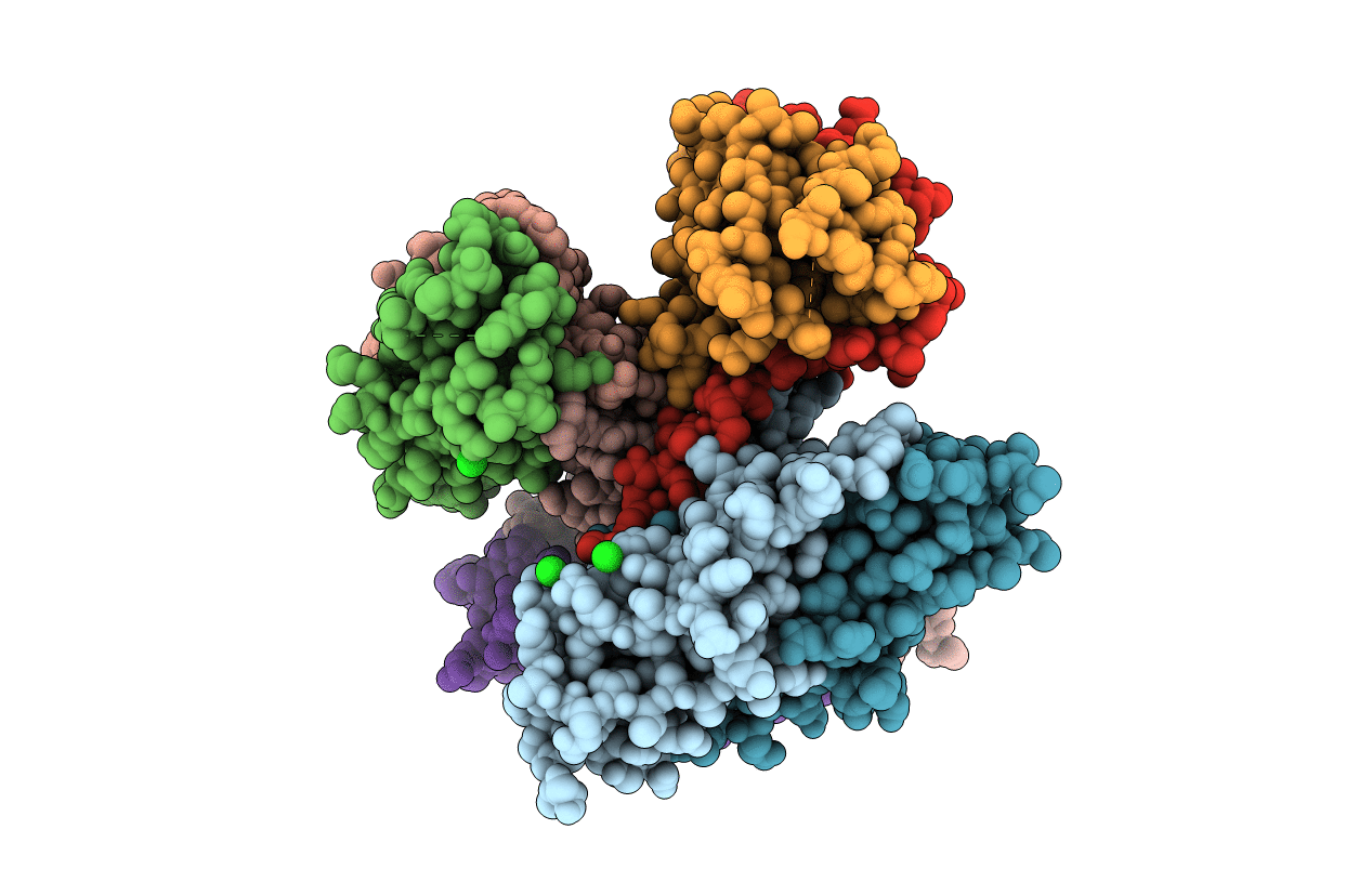 4YLC image