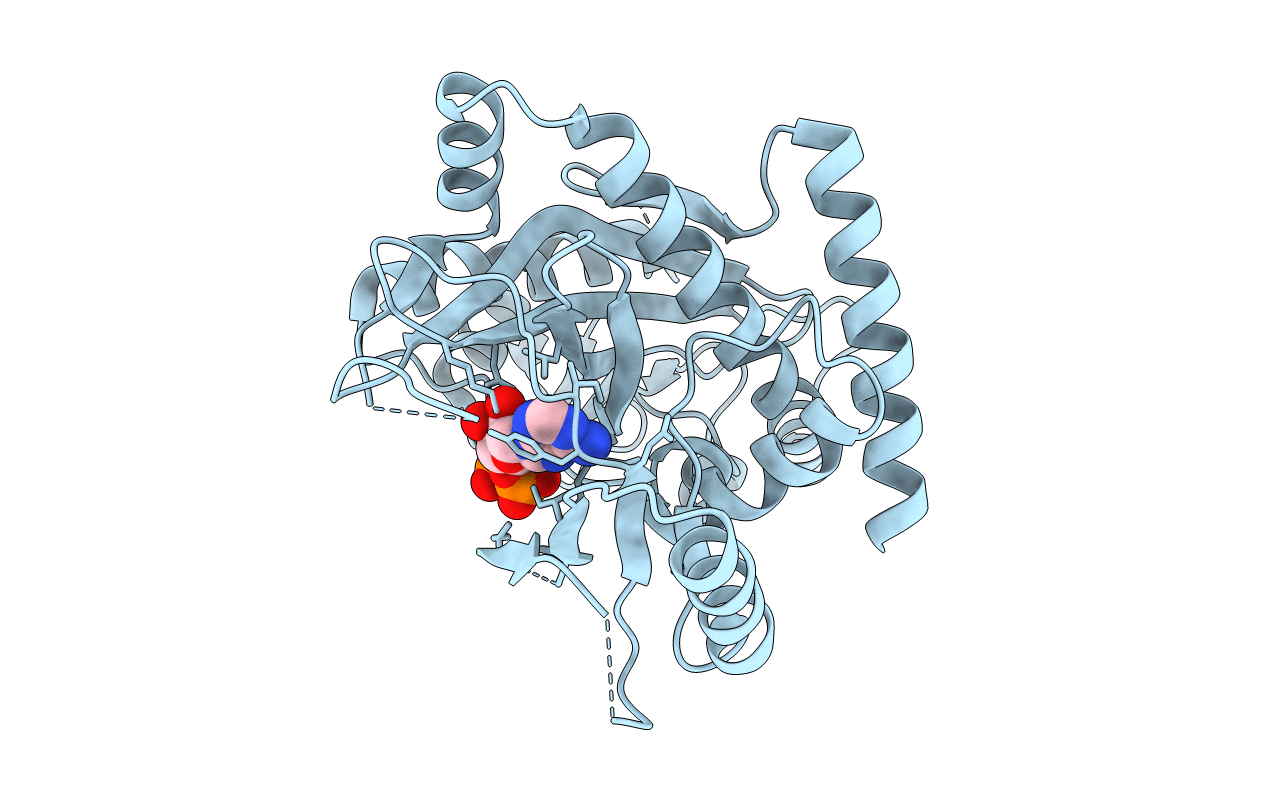4YLR image