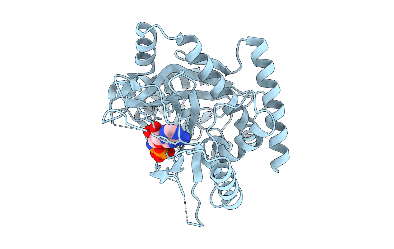 4YLS image