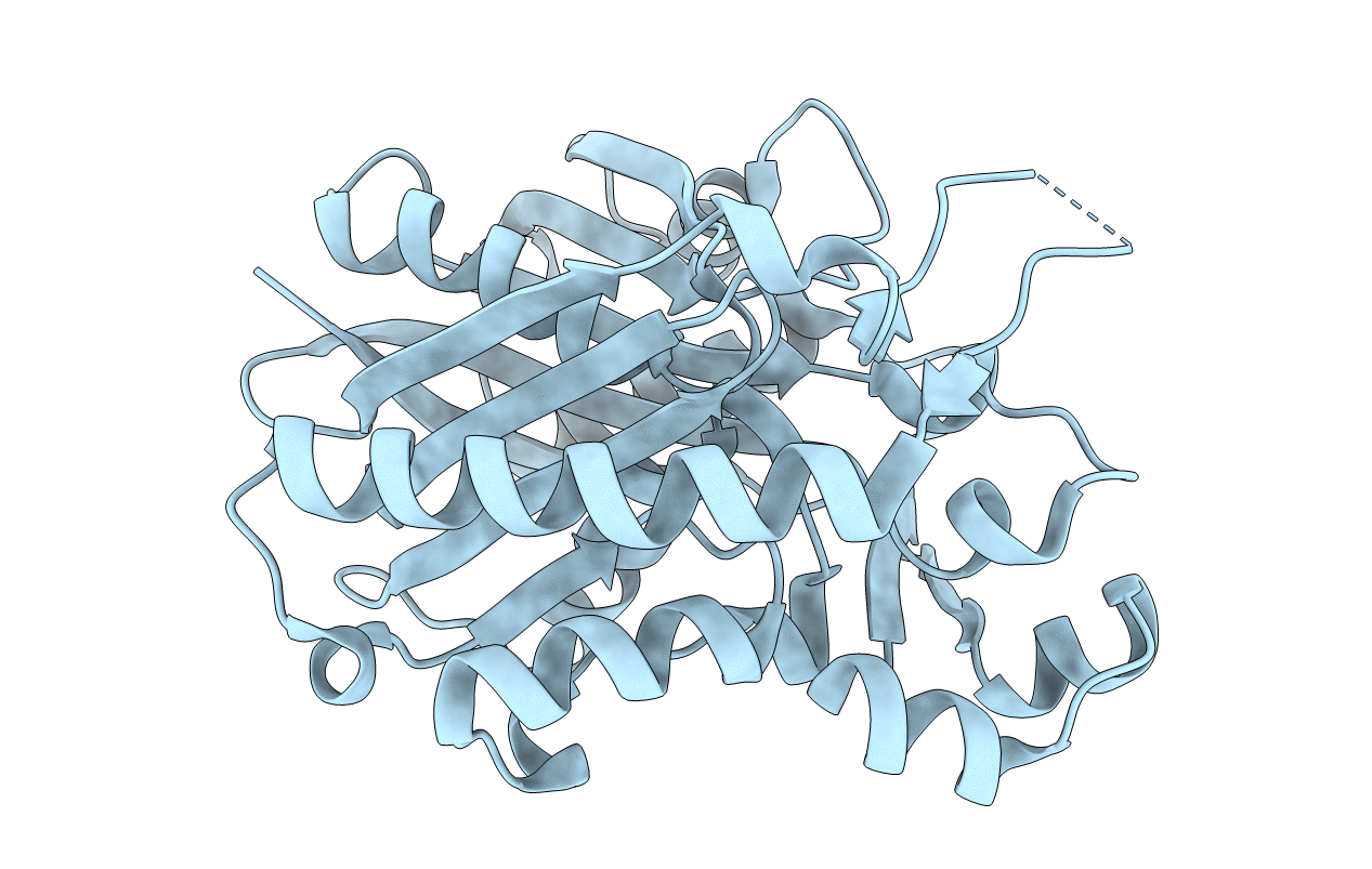 4YLT image