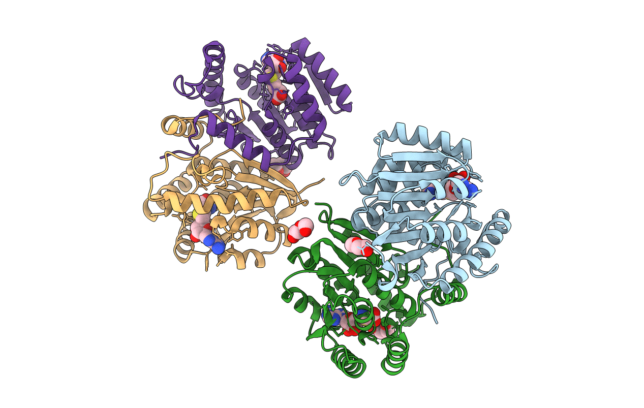 4YMH image
