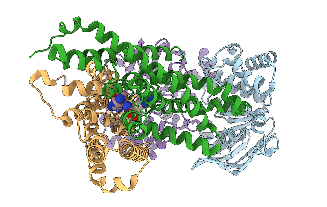 4YMT image