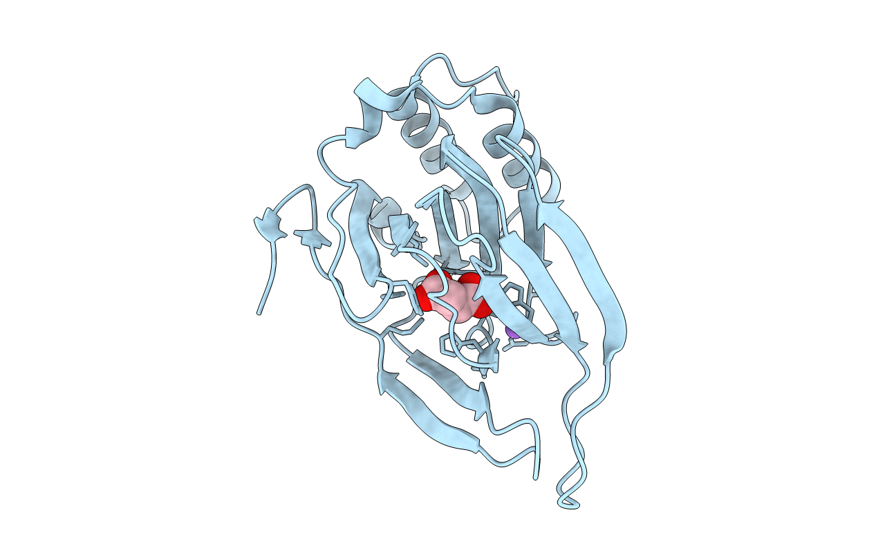 4YNI image