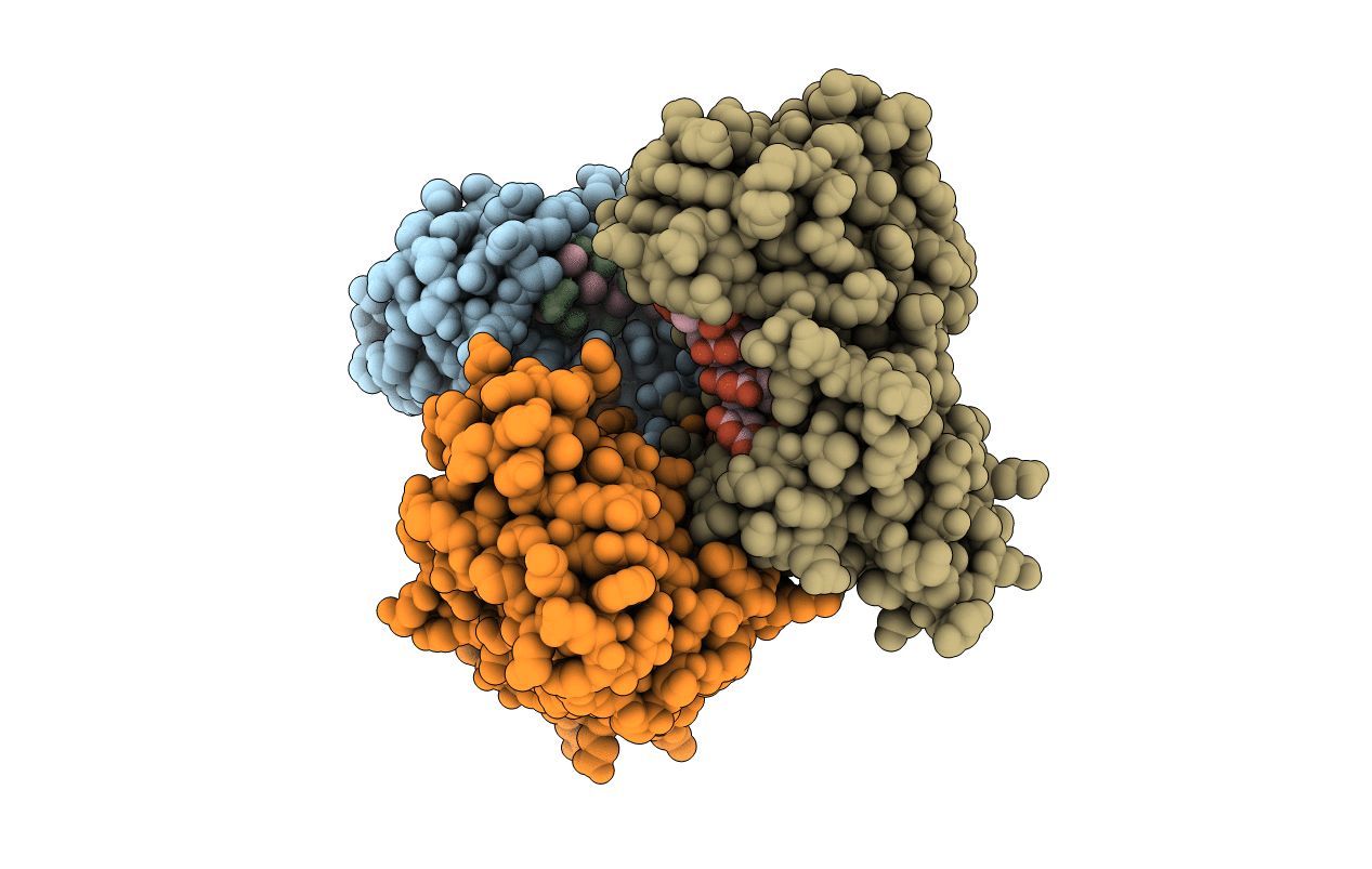 4YOX image