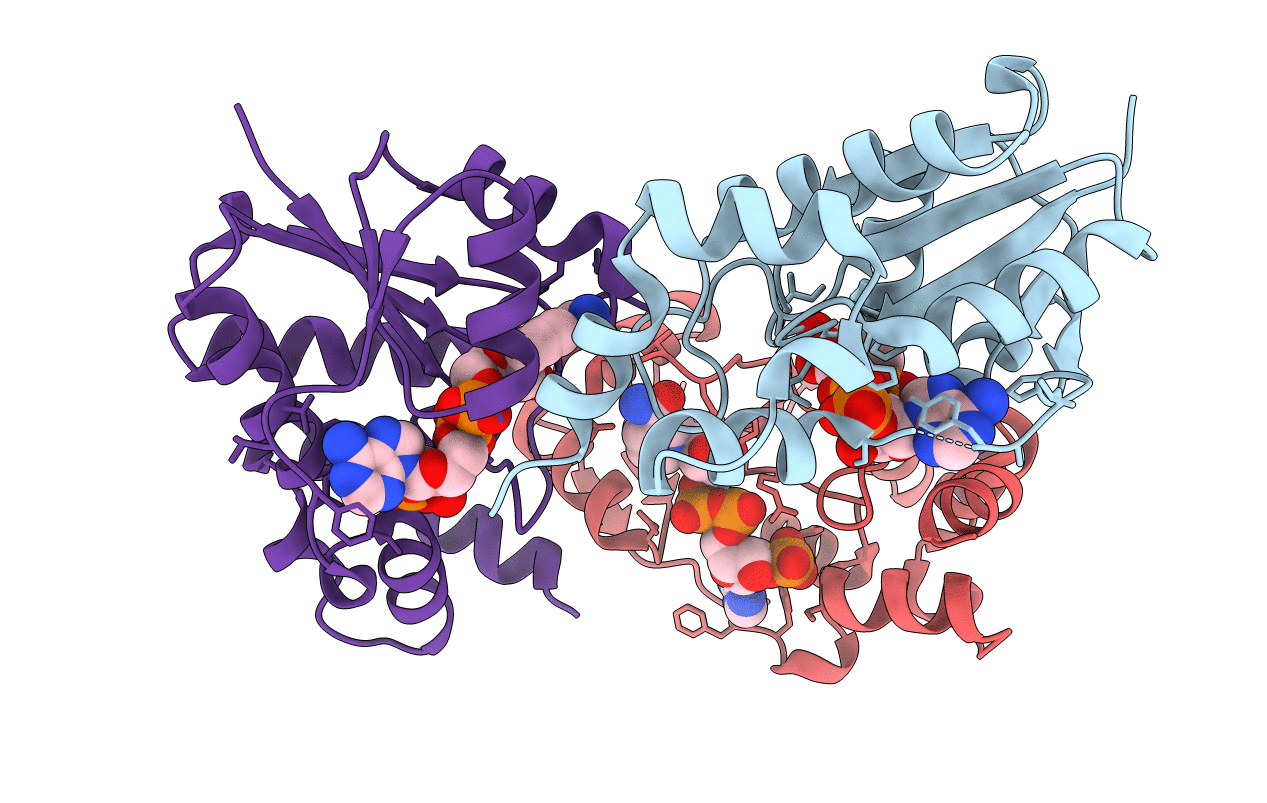 4YP5 image