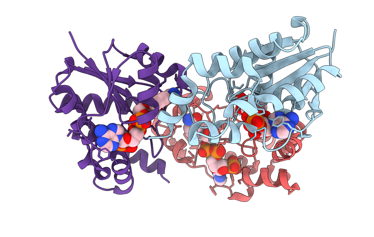 4YP6 image