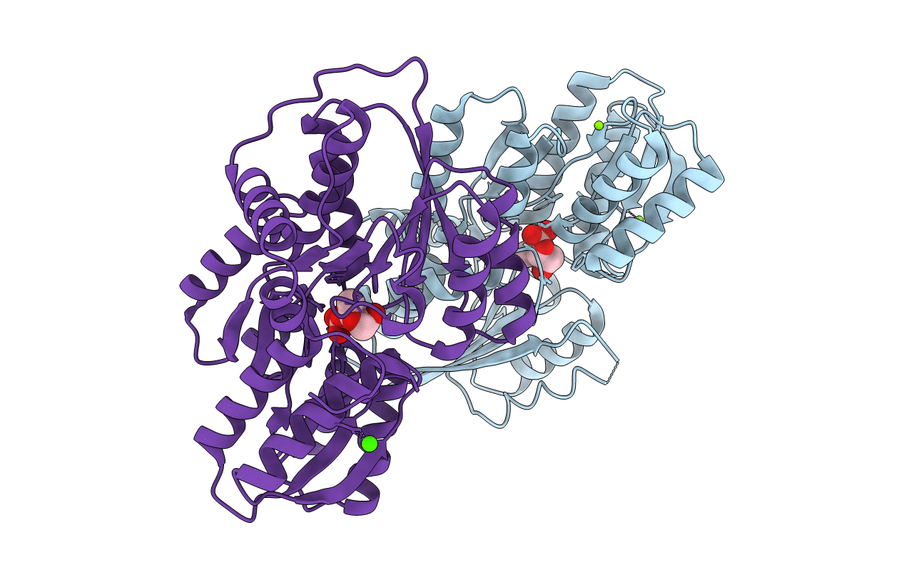 4YP9 image