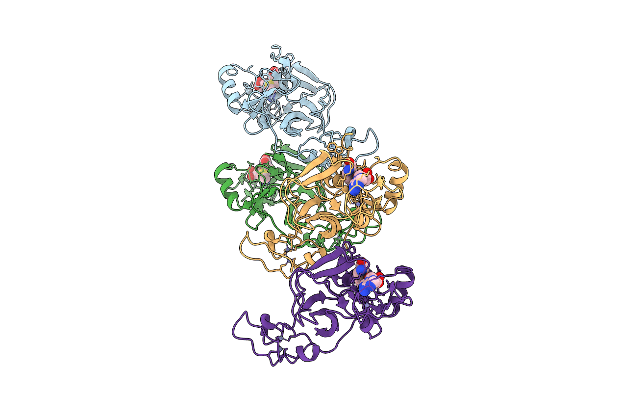4YPA image