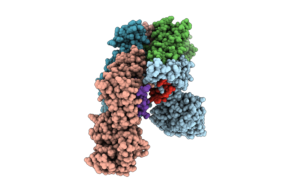 4YPI image