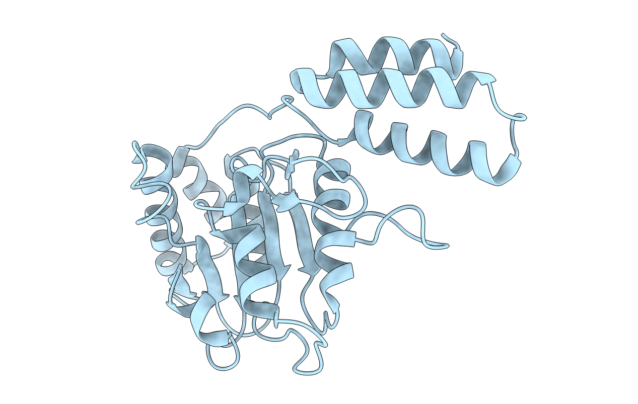 4YPN image