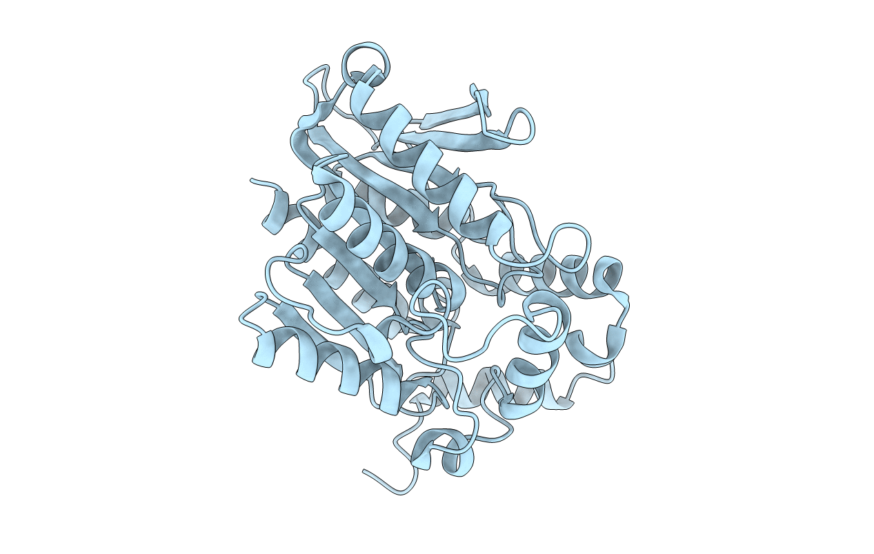 4YPV image