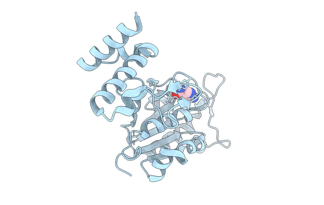 4YPX image