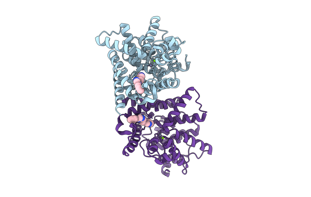 4YQH image