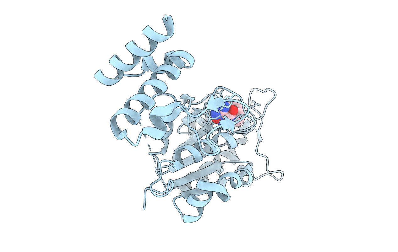 4YQI image