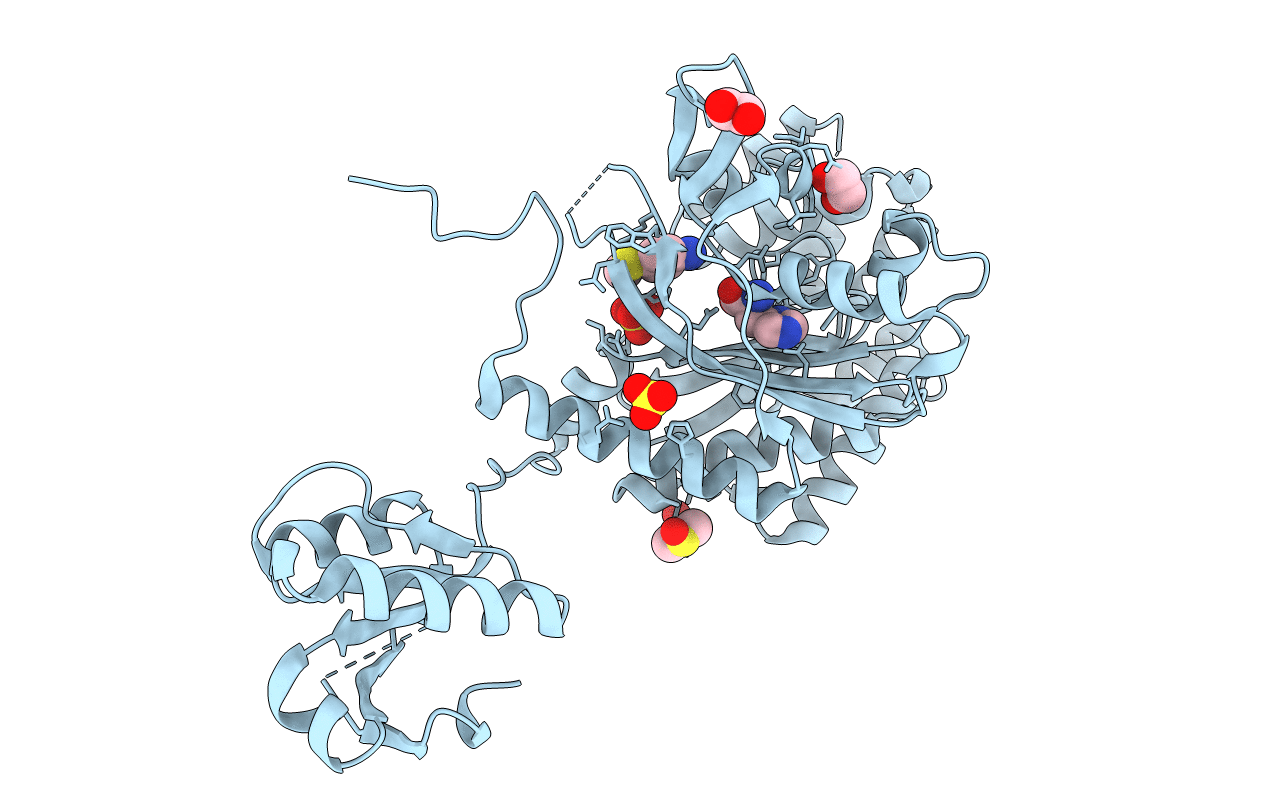 4YRL image