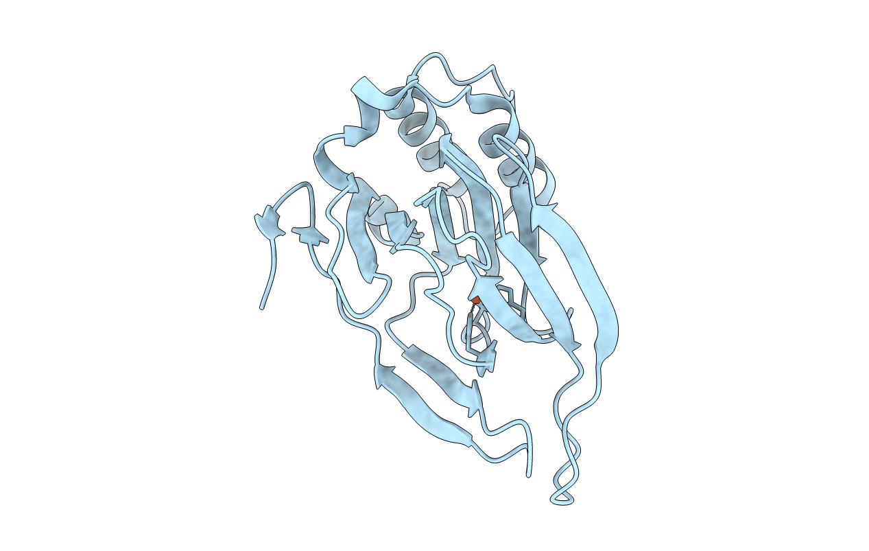 4YSF image