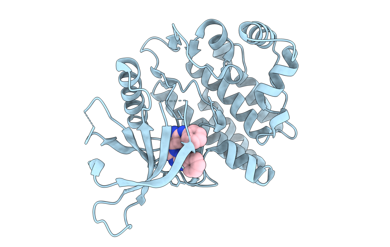 4YTC image