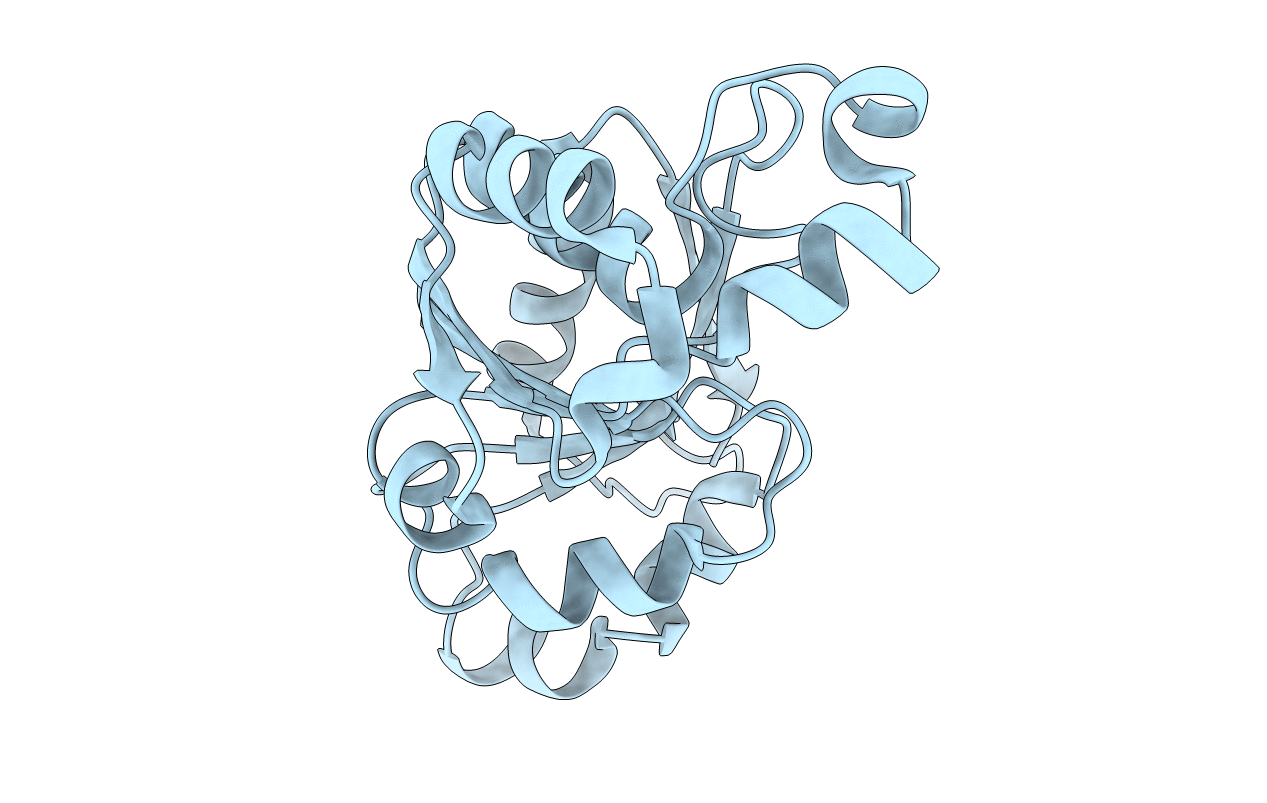 4YTE image