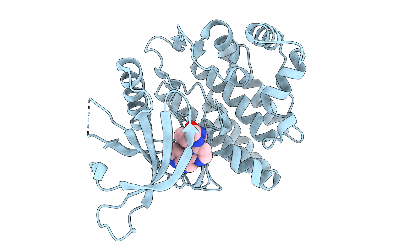 4YTI image