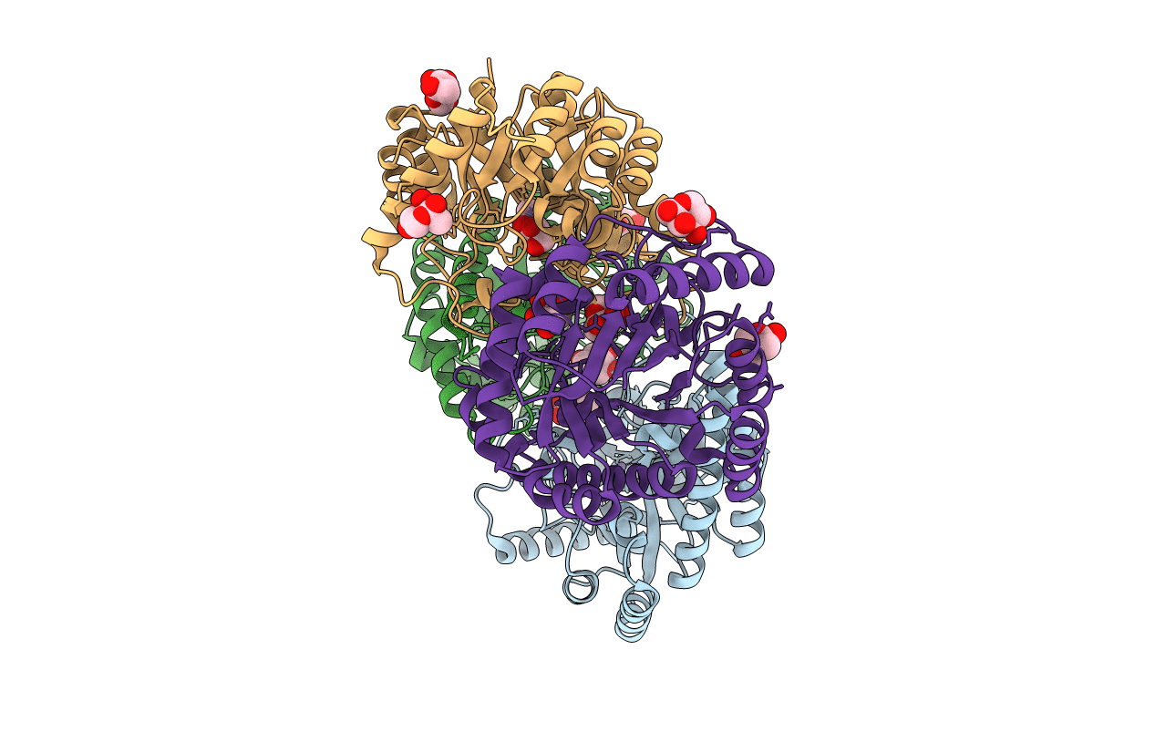 4YTR image