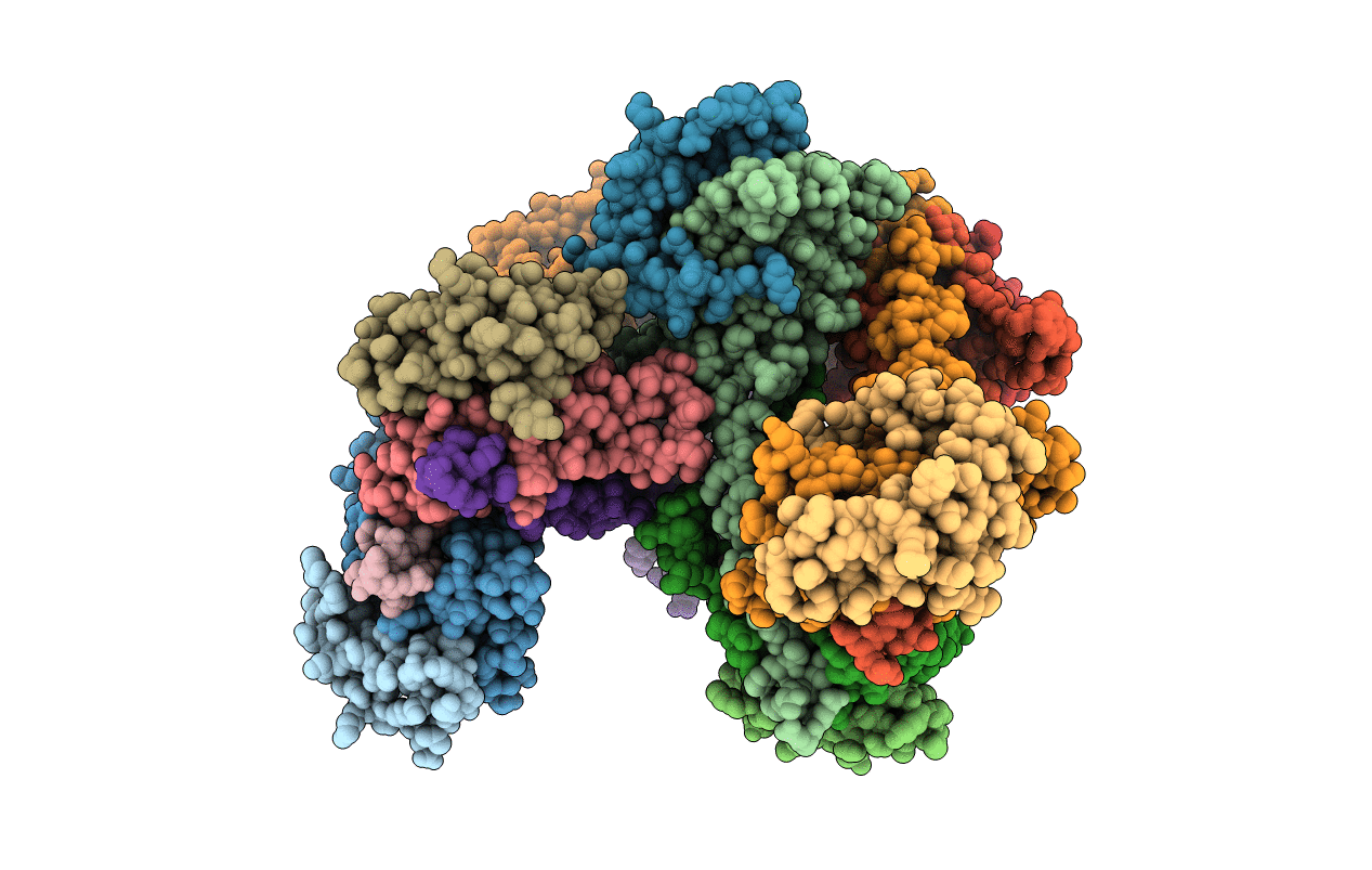4YTX image
