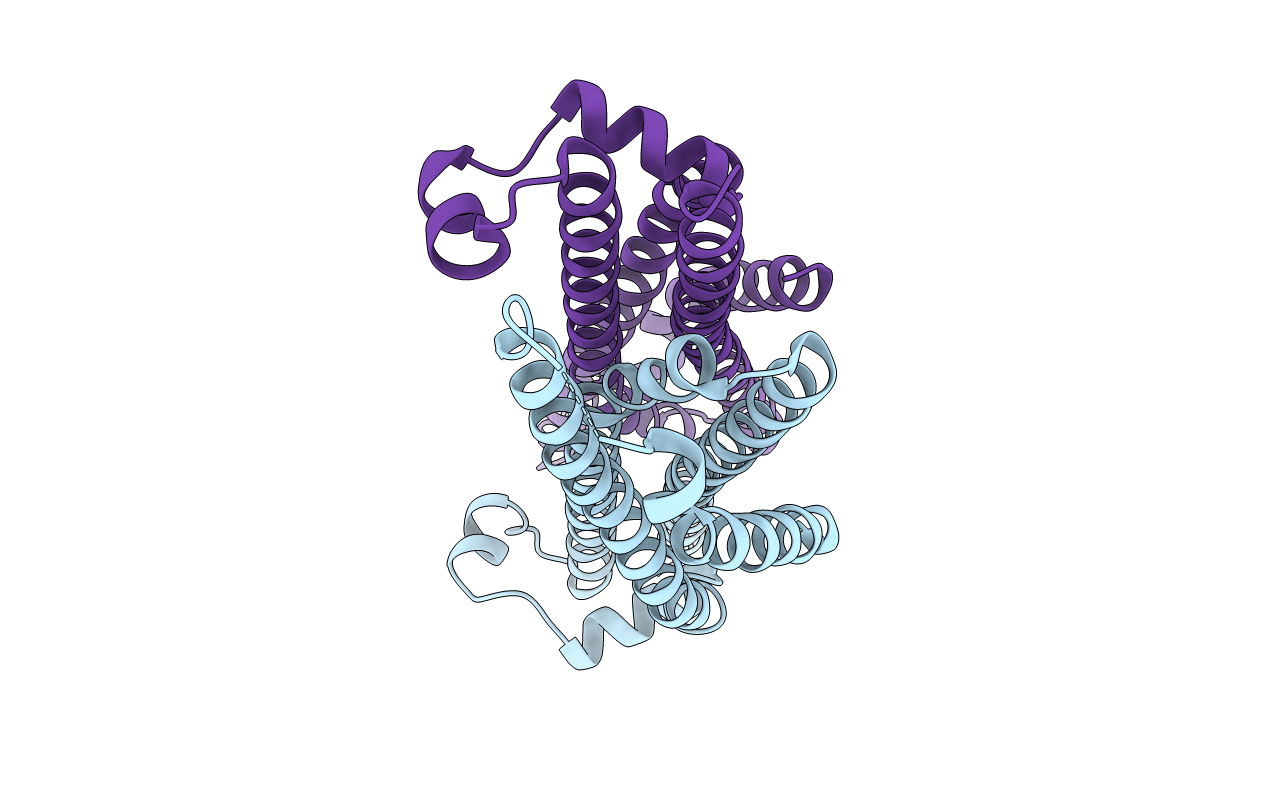 4YVM image