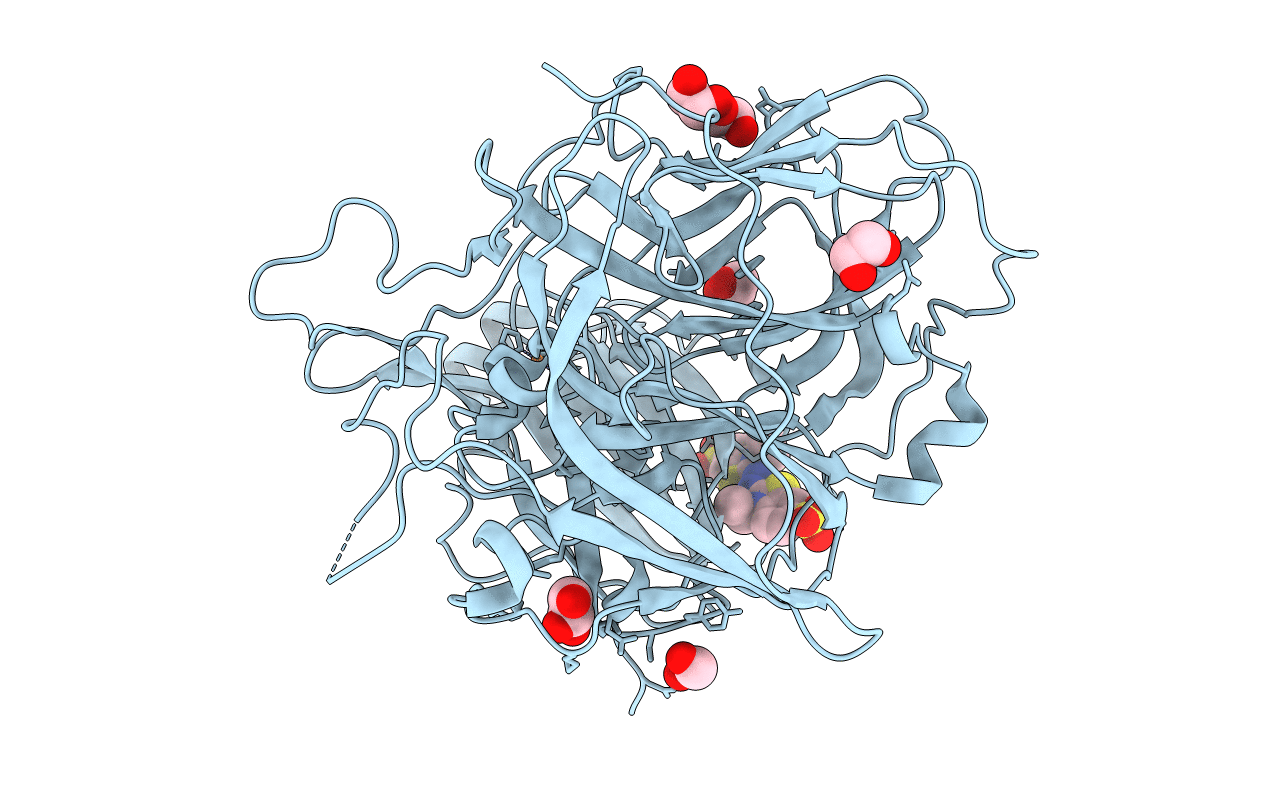 4YVN image