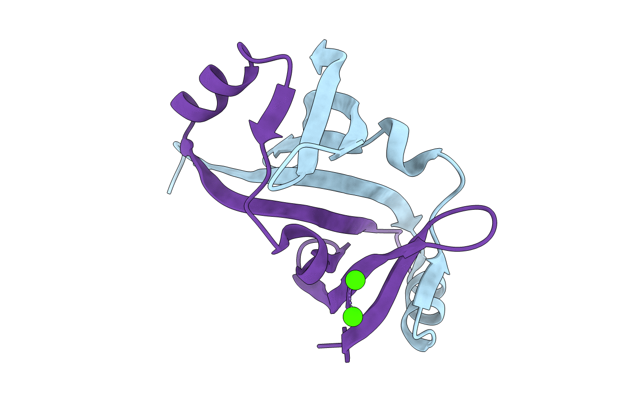 4YX1 image
