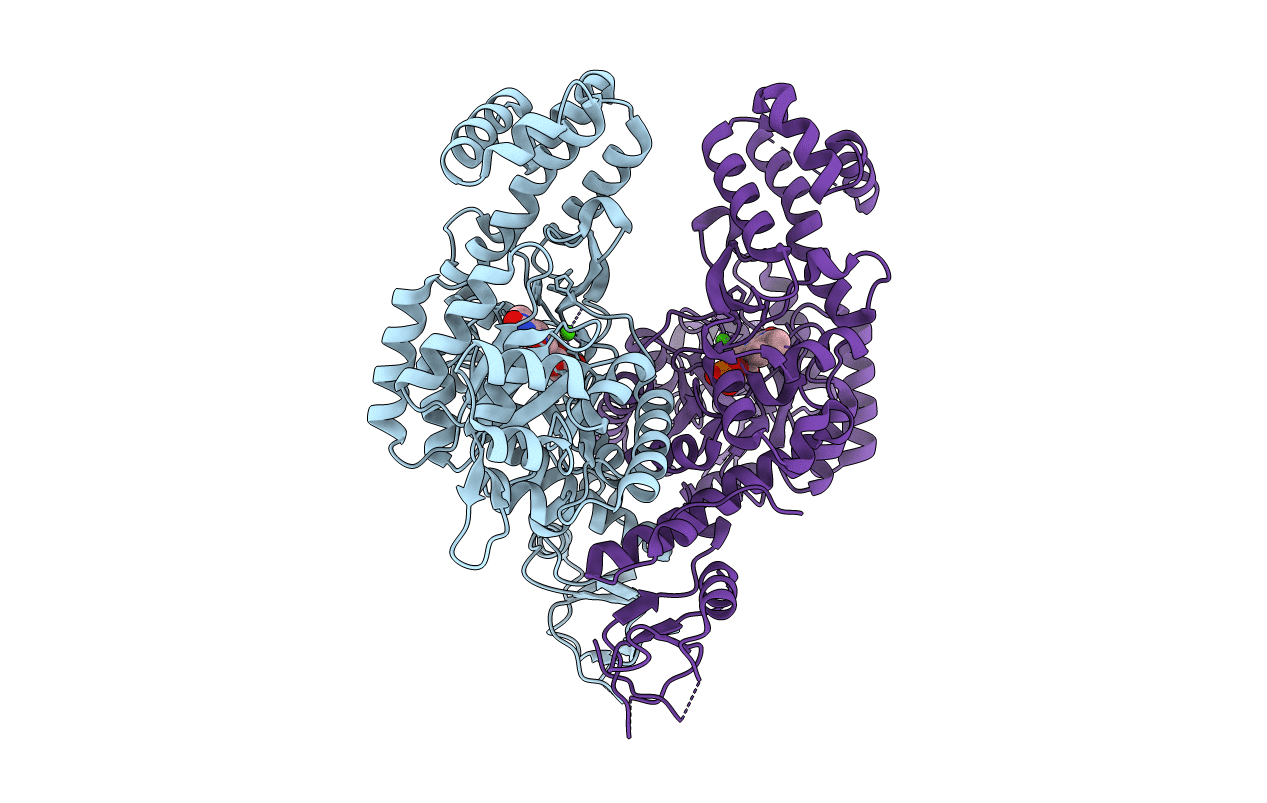 4YX6 image