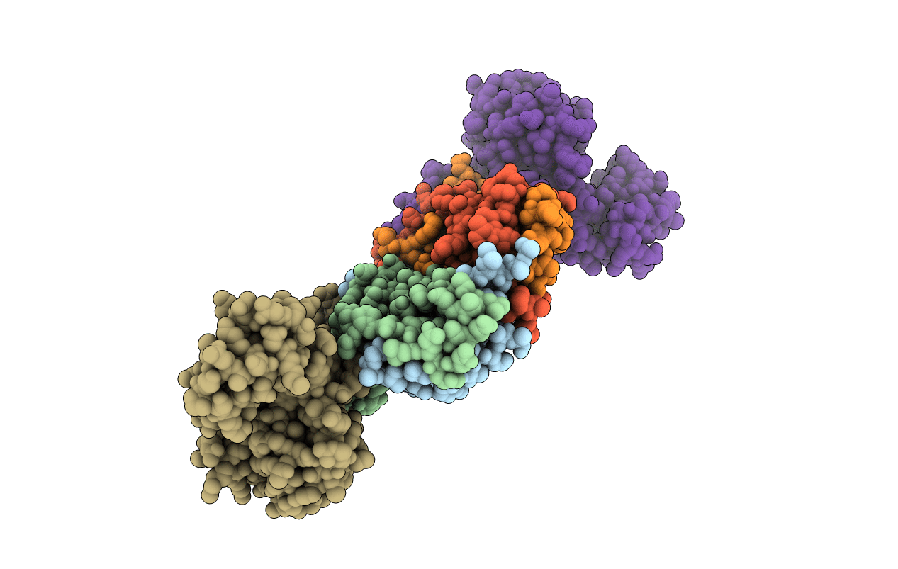 4YX7 image