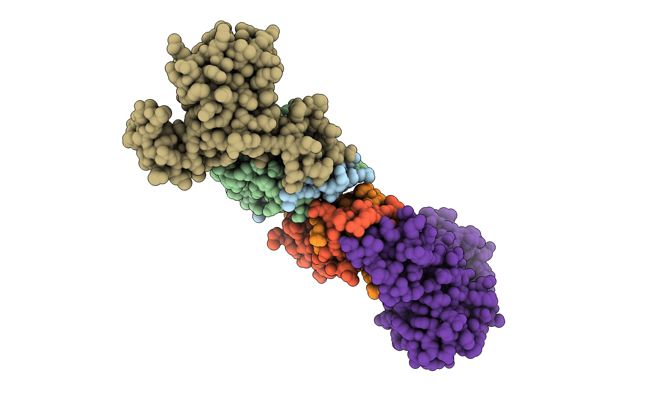 4YXA image