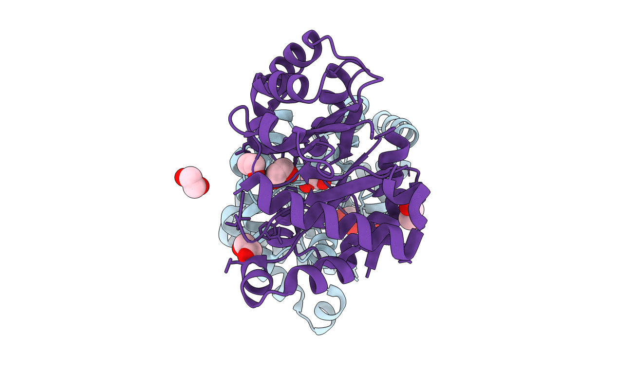 4YXG image