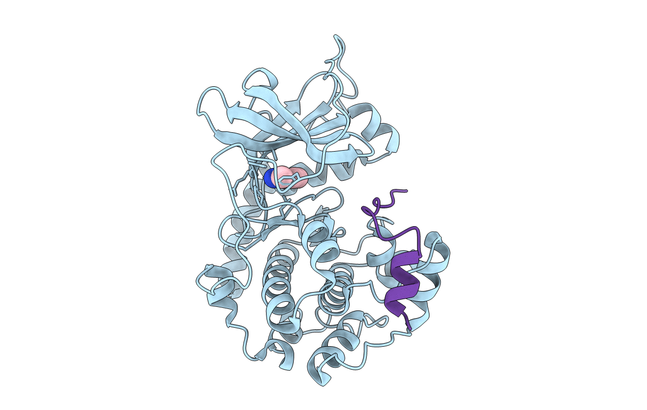 4YXR image