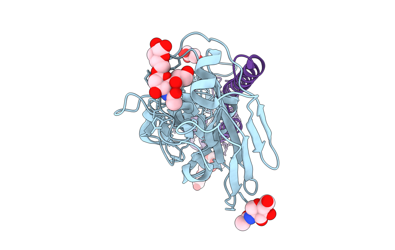 4YYB image