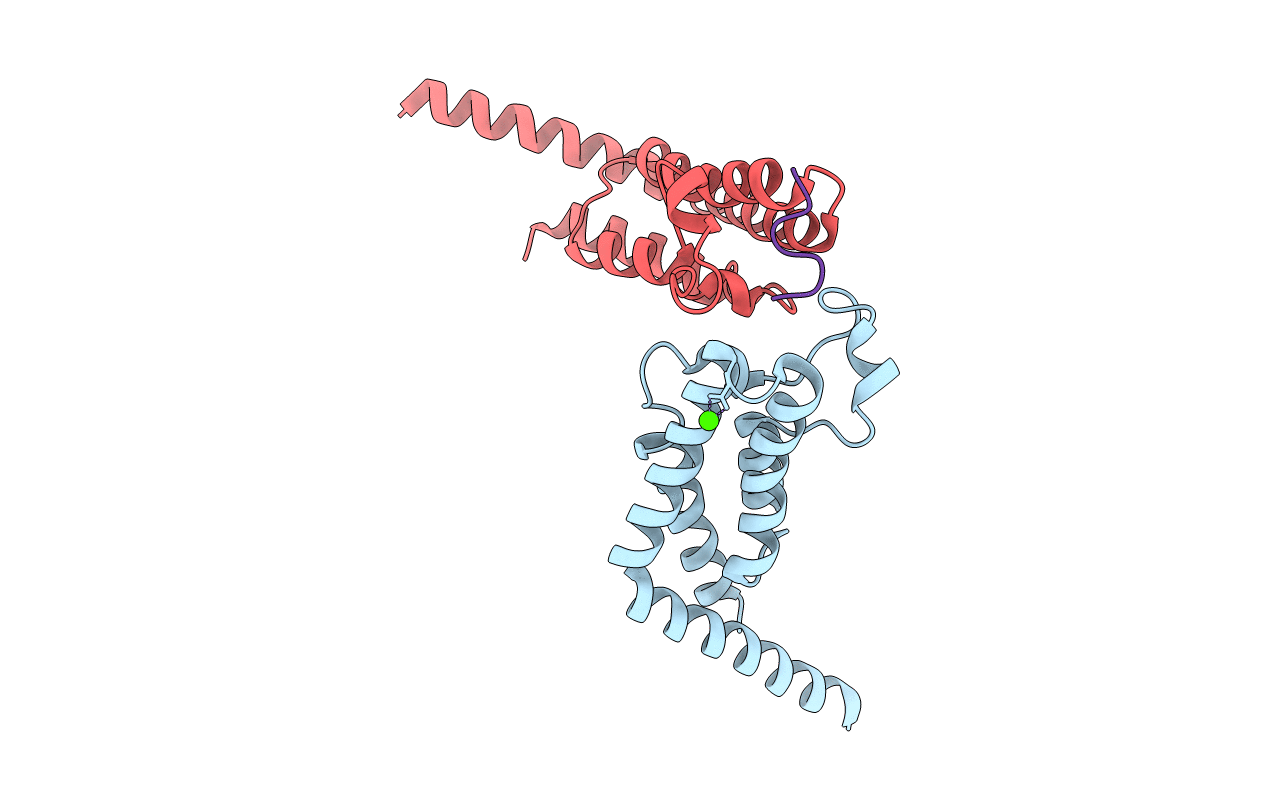 4YYM image