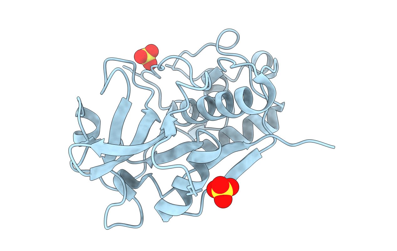 4YYR image