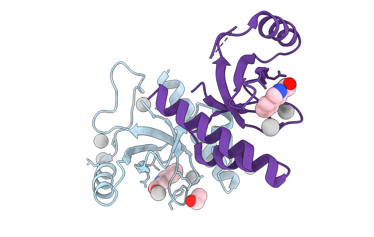 4Z02 image