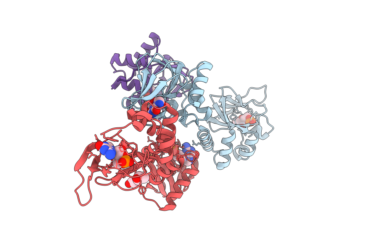 4Z07 image