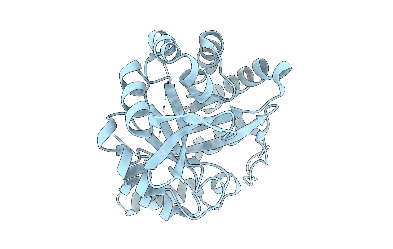 4Z08 image