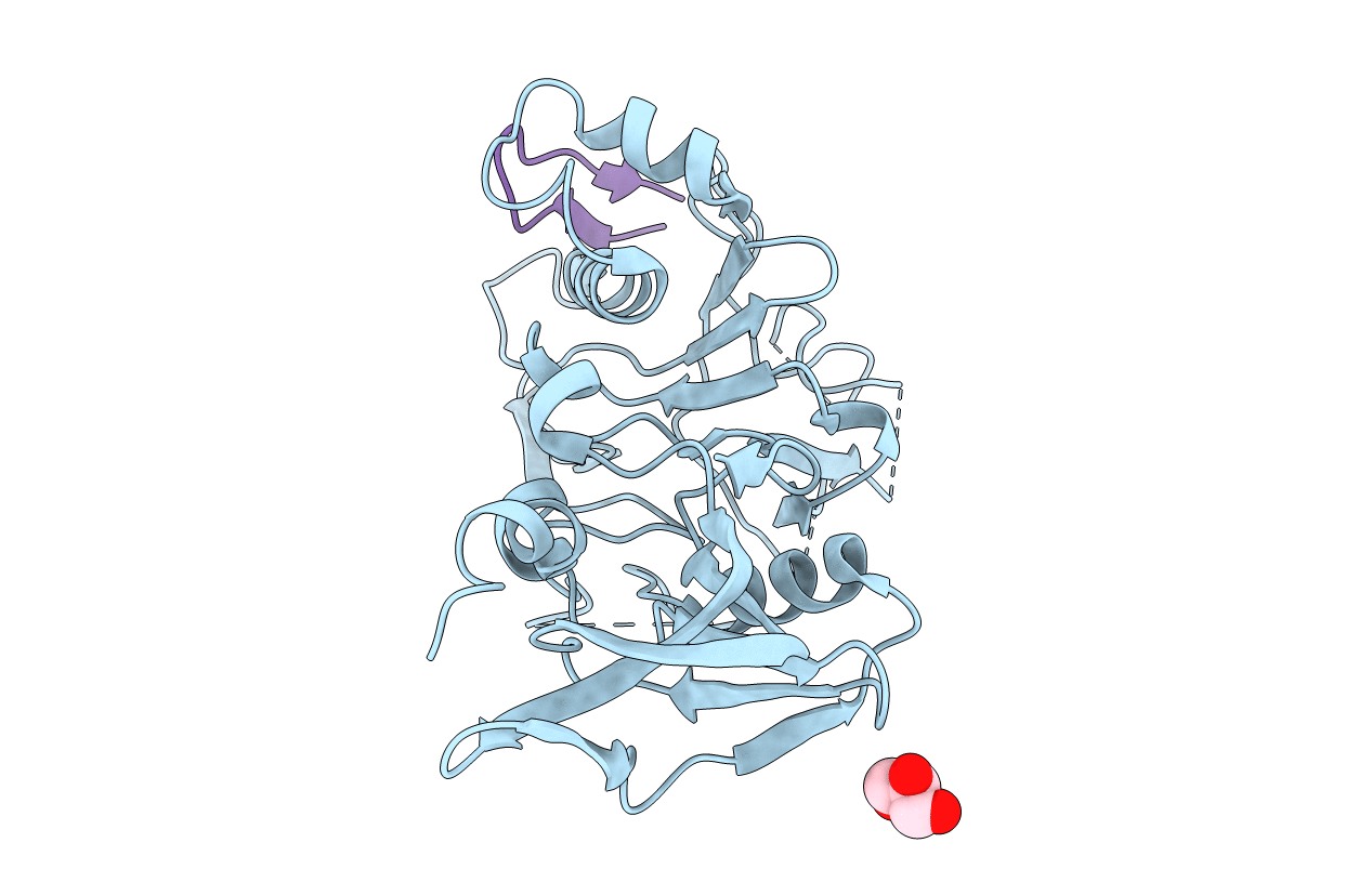 4Z09 image