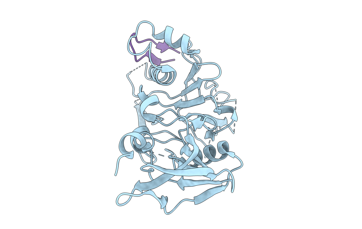 4Z0E image