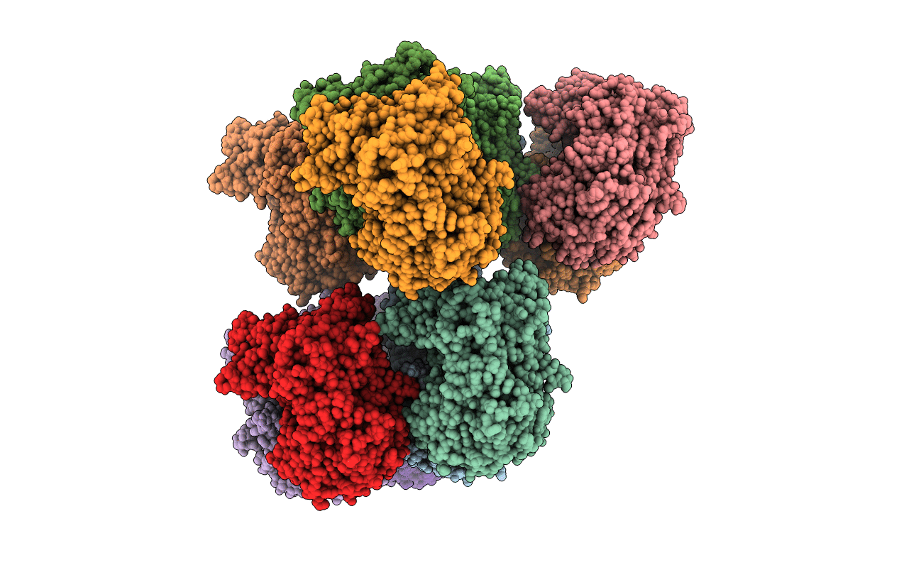 4Z25 image